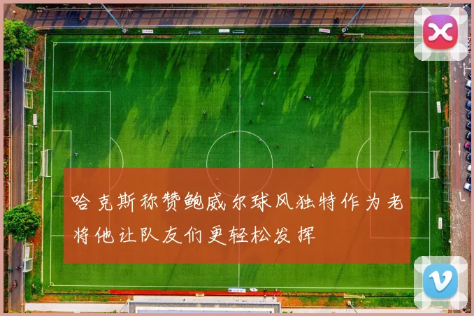 哈克斯称赞鲍威尔球风独特作为老将他让队友们更轻松发挥