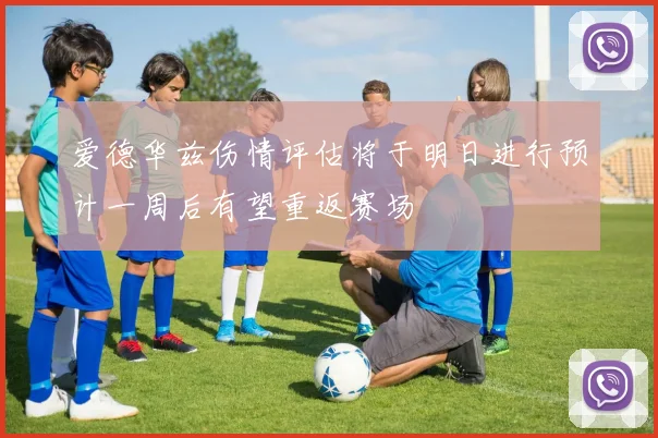 爱德华兹伤情评估将于明日进行预计一周后有望重返赛场
